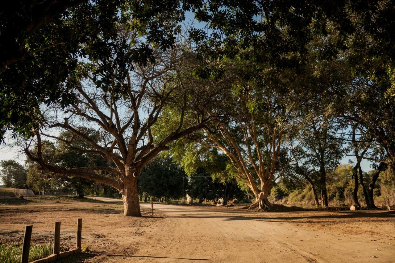 Letaba Junction Lodge Letsitele Ngoại thất bức ảnh